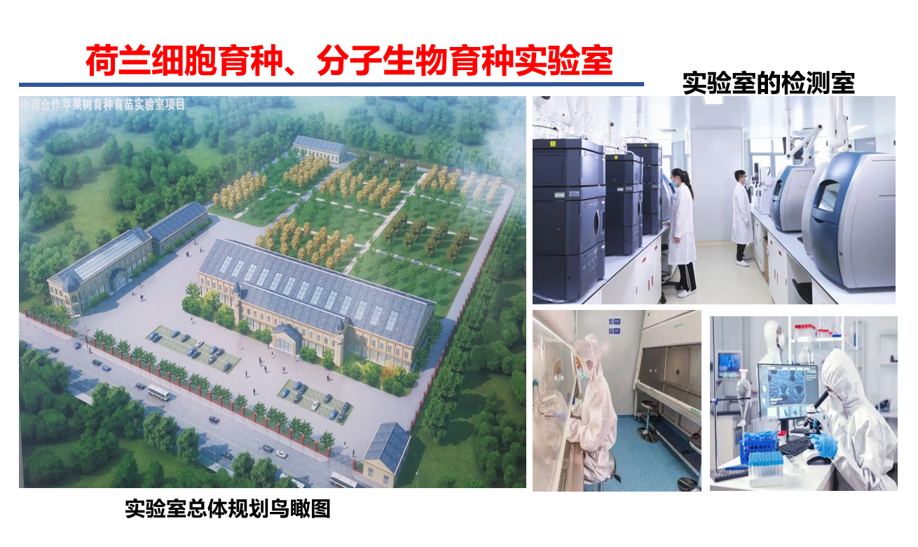 微信图片_20260117122210_139_9.png