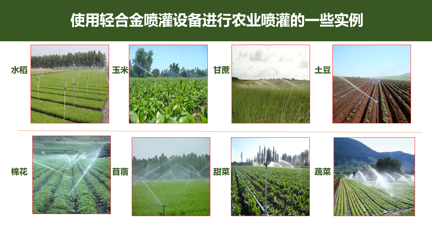 微信图片_20260117122056_138_9.png